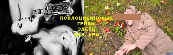 винт Гусь-Хрустальный