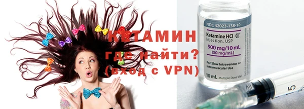 прущие грибы Гусиноозёрск