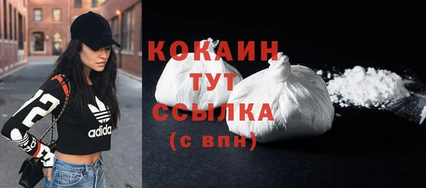 винт Гусь-Хрустальный