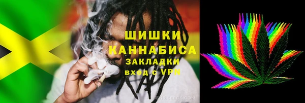 стаф Гусев