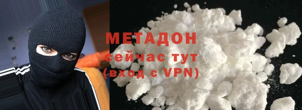 прущие грибы Гусиноозёрск