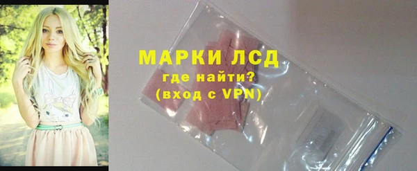 стаф Гусев