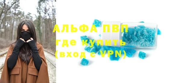 прущие грибы Гусиноозёрск