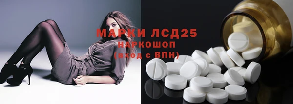 стаф Гусев