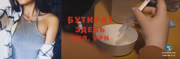 прущие грибы Гусиноозёрск