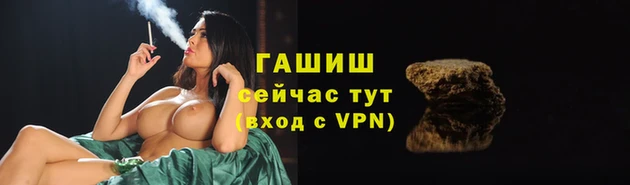 прущие грибы Гусиноозёрск