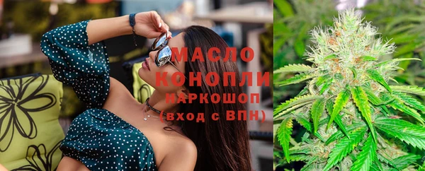 винт Гусь-Хрустальный