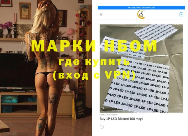 прущие грибы Гусиноозёрск