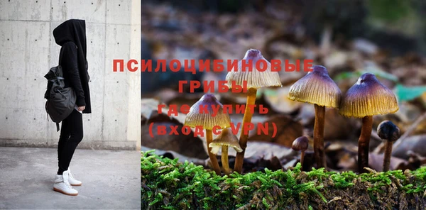spice Горнозаводск