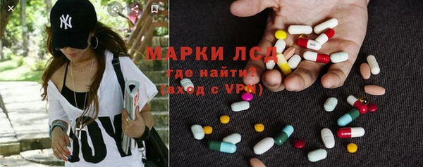 прущие грибы Гусиноозёрск