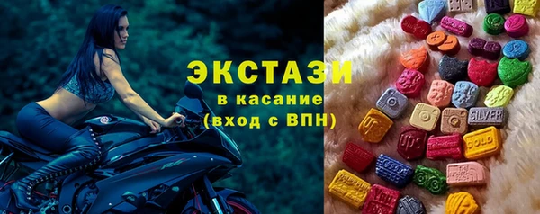 стаф Гусев