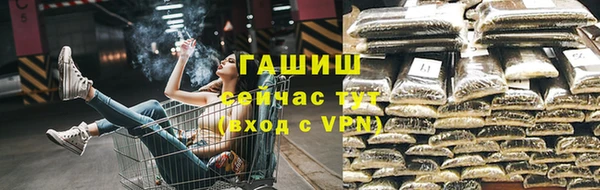 прущие грибы Гусиноозёрск