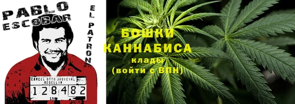 прущие грибы Гусиноозёрск
