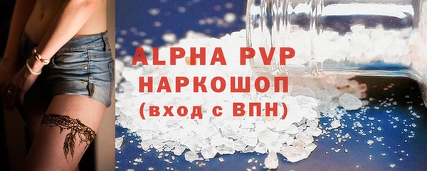 прущие грибы Гусиноозёрск