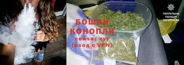 стаф Гусев