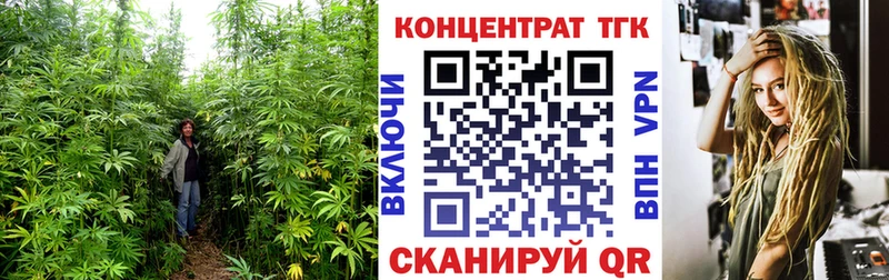 Дистиллят ТГК Wax  как найти закладки  Меленки 